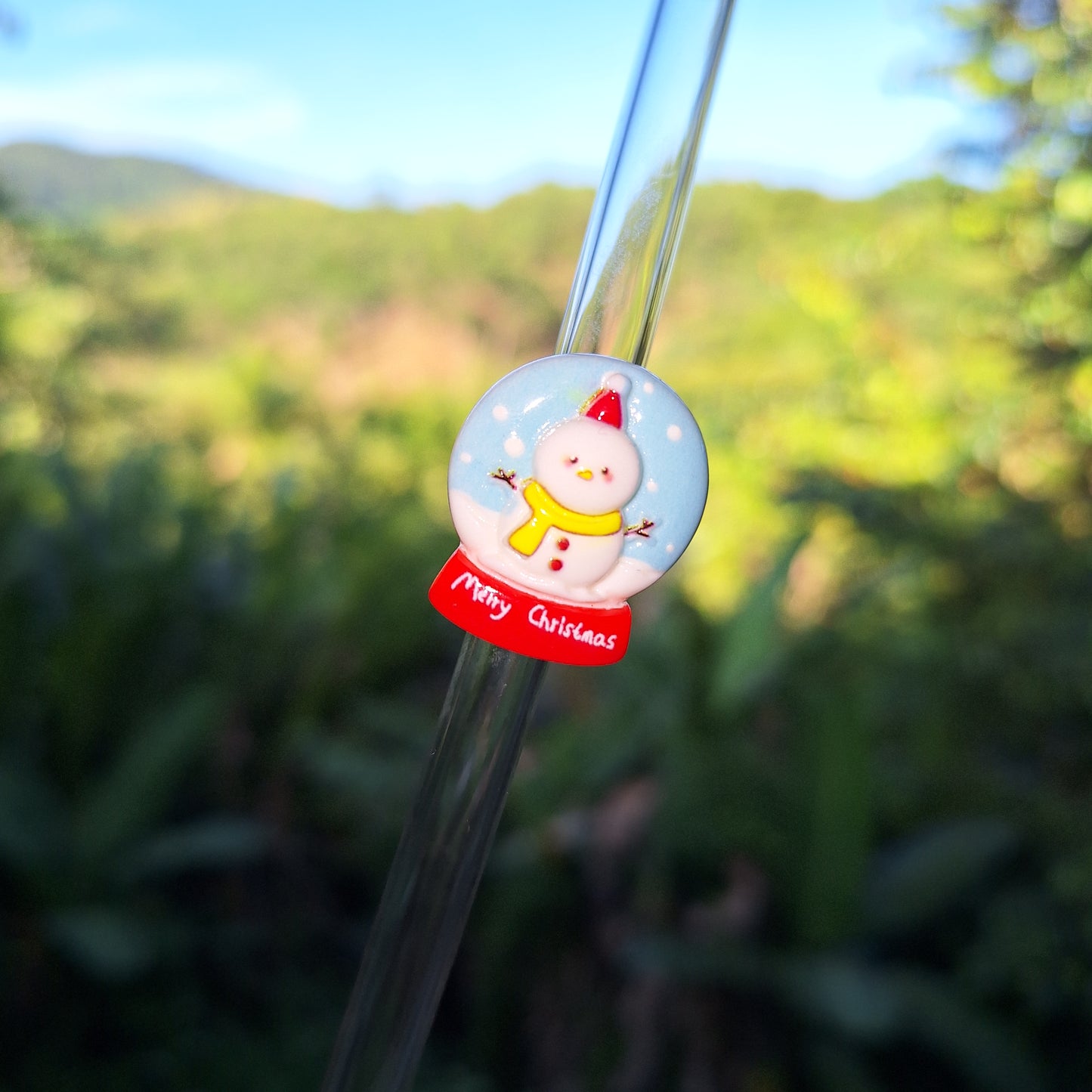 Snowglobe Glass Straw