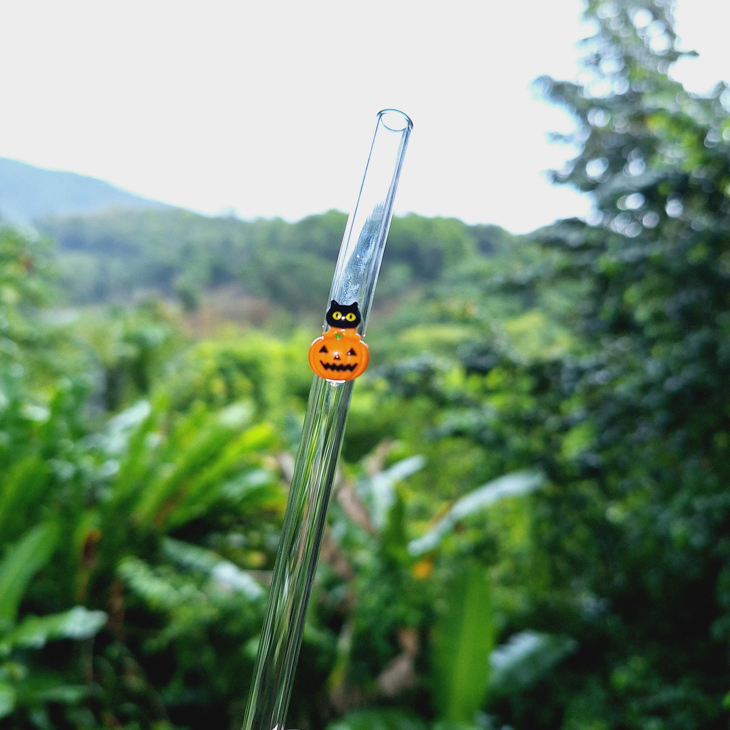 Halloween Glass Straw