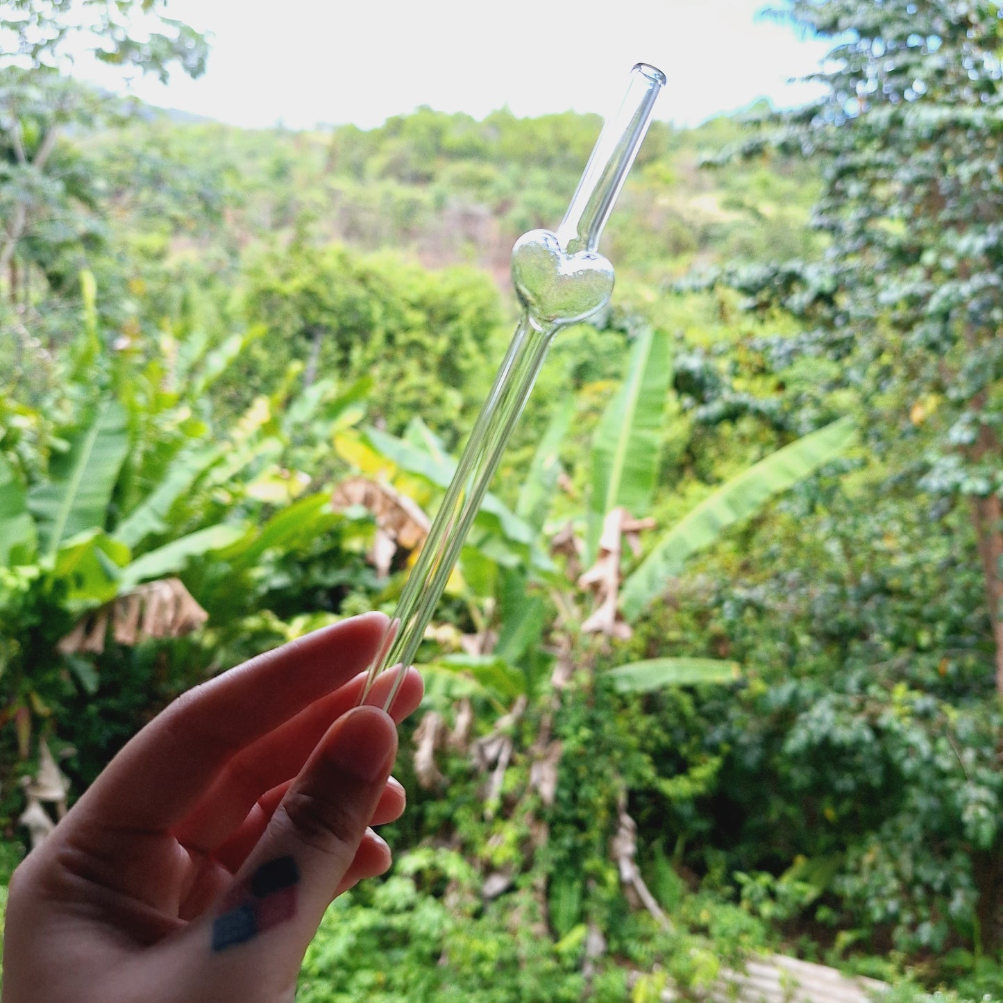 Heart Glass Straw
