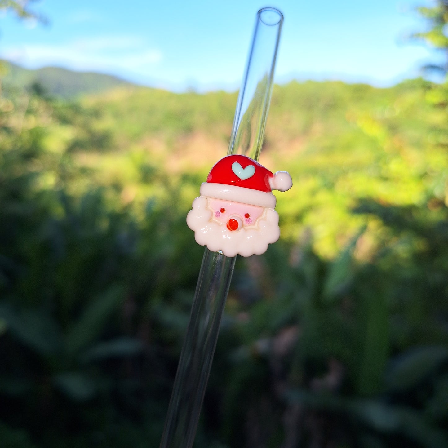 Santa Glass Straw