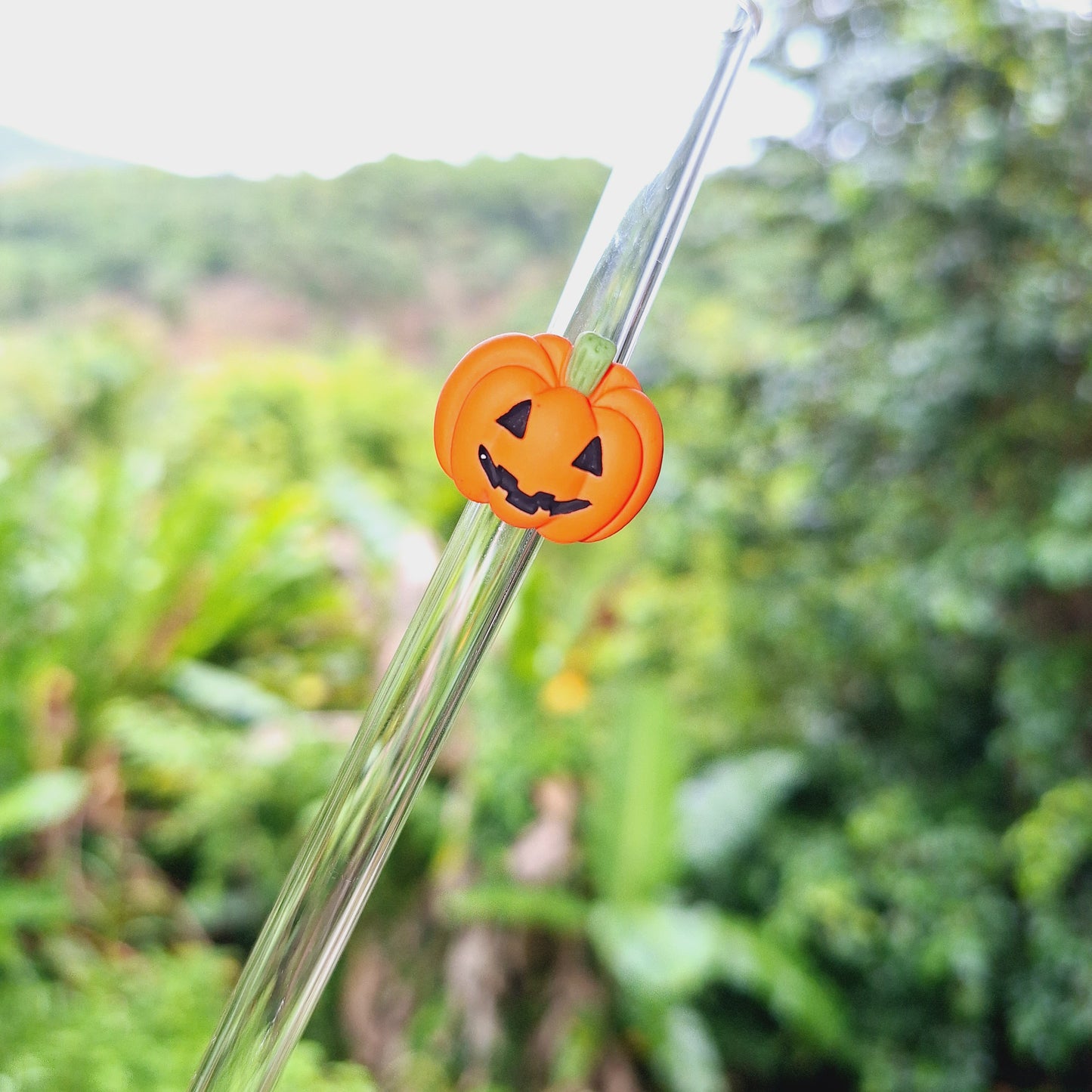 Jack O Lantern Glass Straw