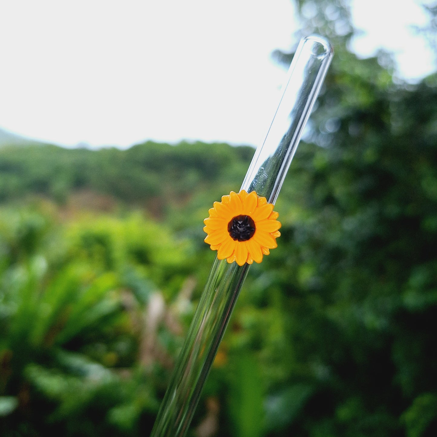 Sunflower Glass Straw